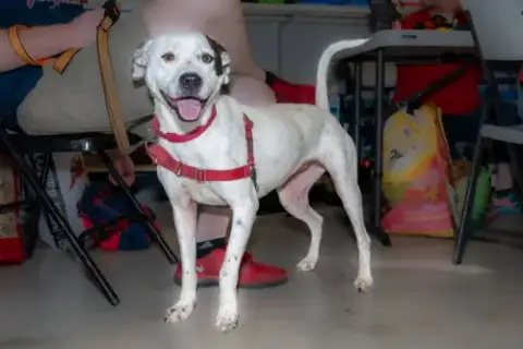 Nellie photo 3