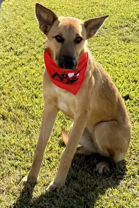 Finley photo 4