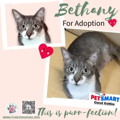 Bethany
