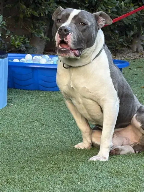 Zeus