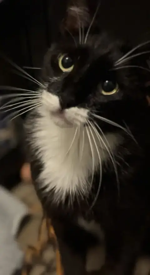 Groucho Marx