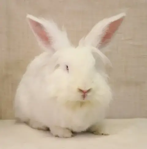 Jenny photo 2