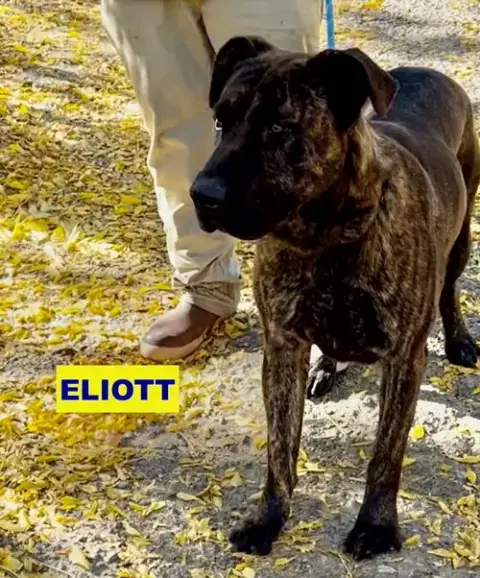 Eliott photo 2
