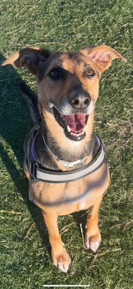 Luna photo 3