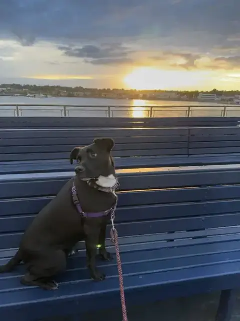 Oreo