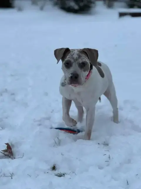Bella photo 3