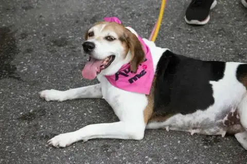 Peaches photo 5