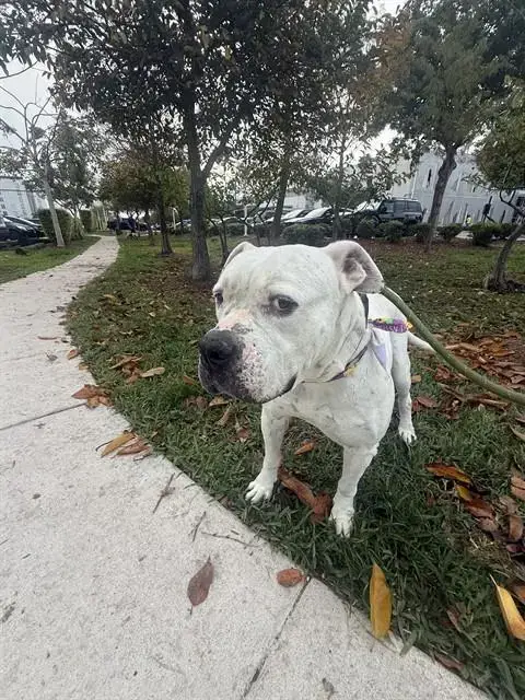 Esther