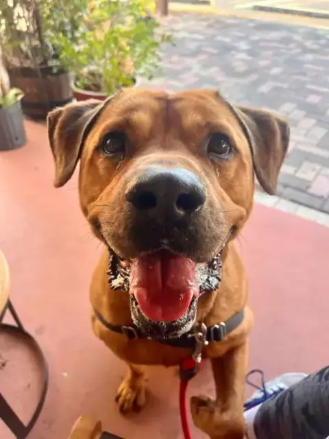 Chester