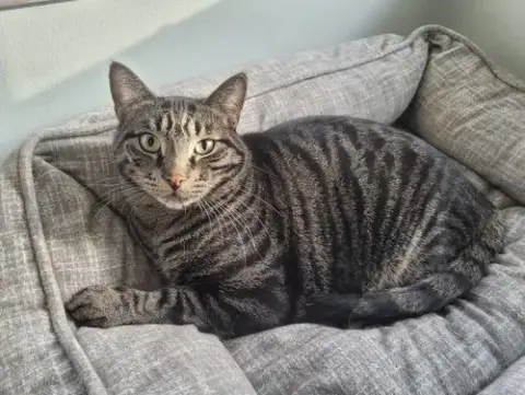 C224 Brothers Ollie
