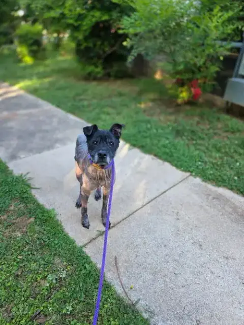 Beau photo 3