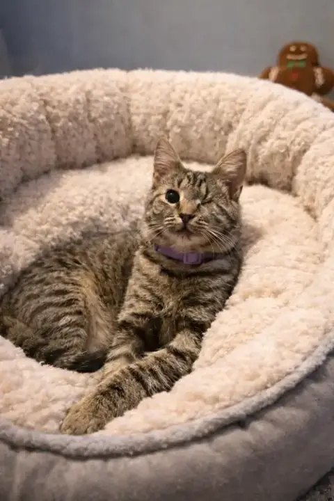 Leela