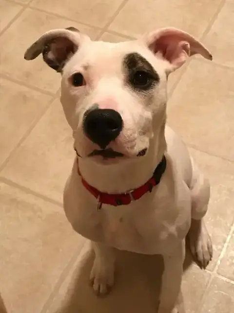 Leila photo 2