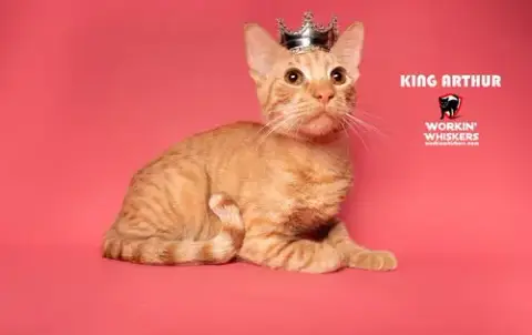 King Arthur