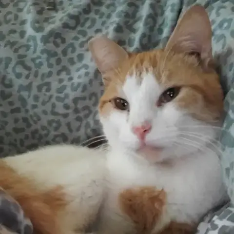 Ernie photo 3