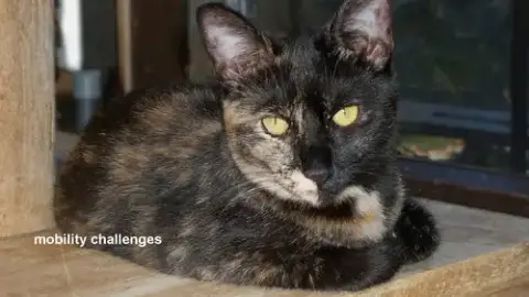 Delilah photo 3