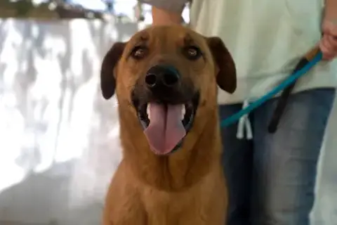 Buster photo 2