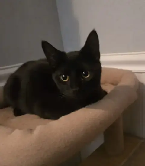 Salem photo 3