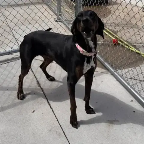 Maggie photo 4
