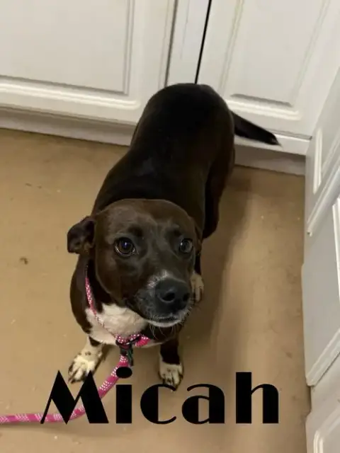 Micah photo 2