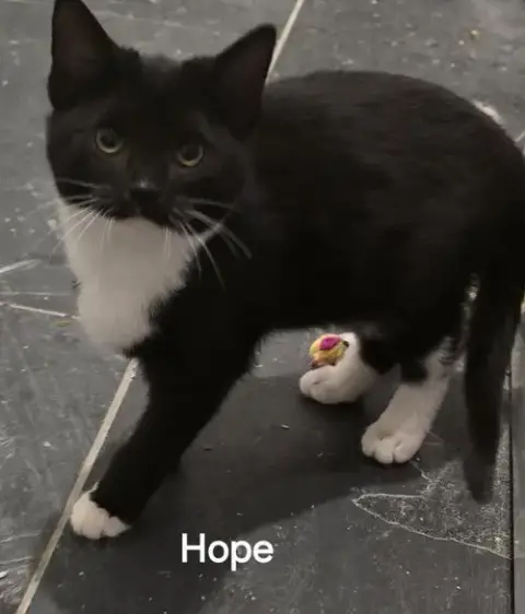 Hope