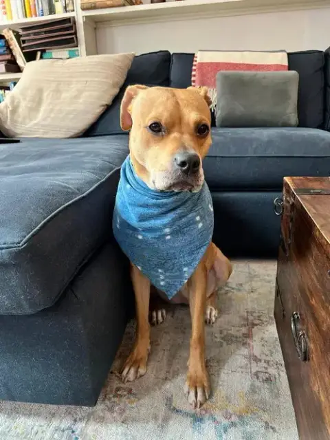 Jessa photo 4
