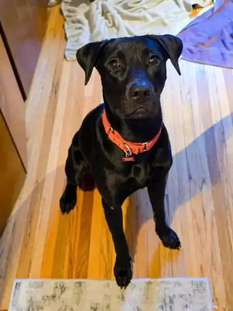Maggie photo 5