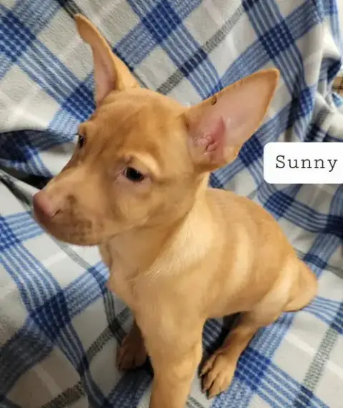 Sunny photo 2