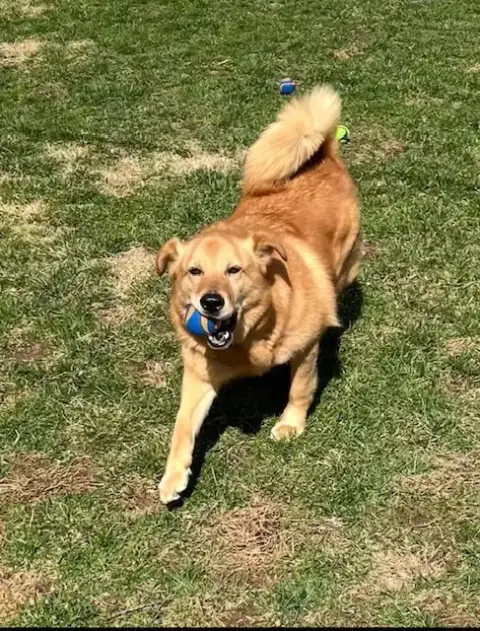 Oakley photo 4