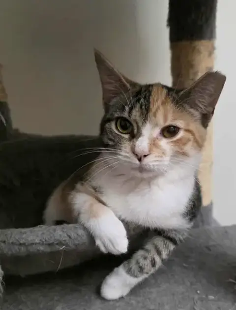 Pixel photo 4