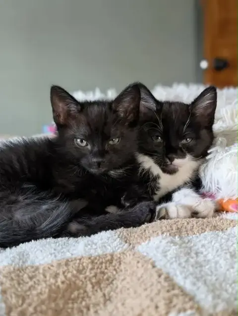 Yuki And Yoshi