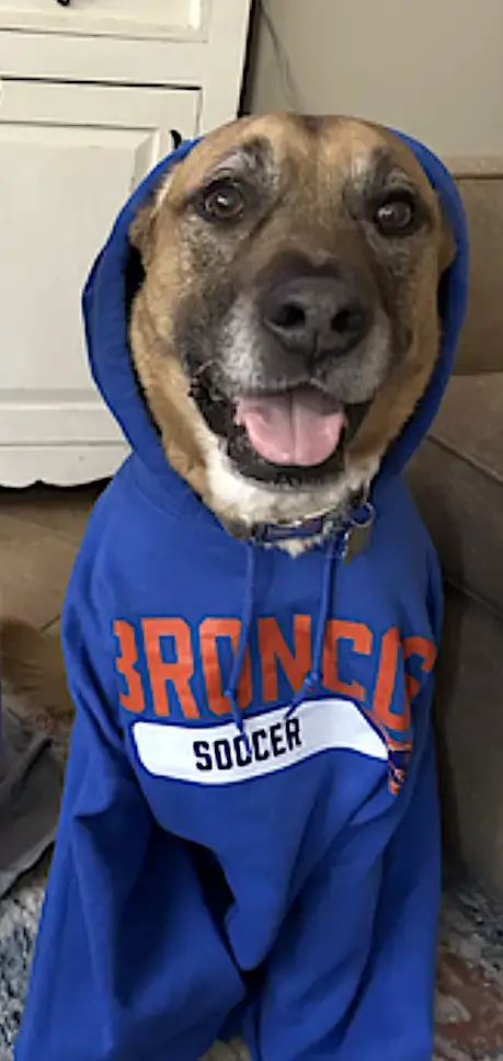 Duke photo 4