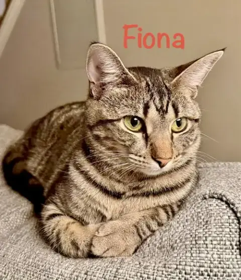 Fiona photo 3