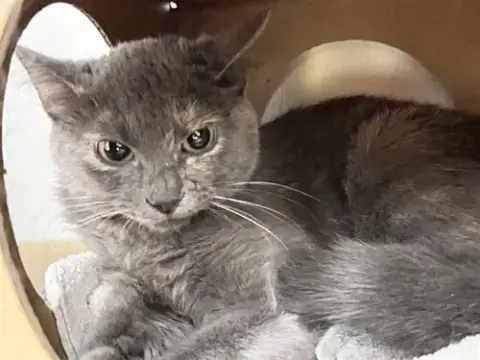 Ethel