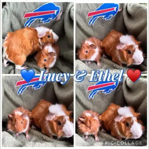 Lucy And Ethel