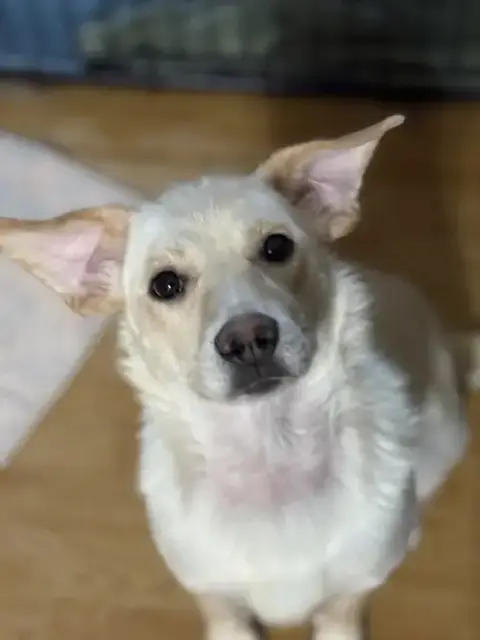 Luna photo 3