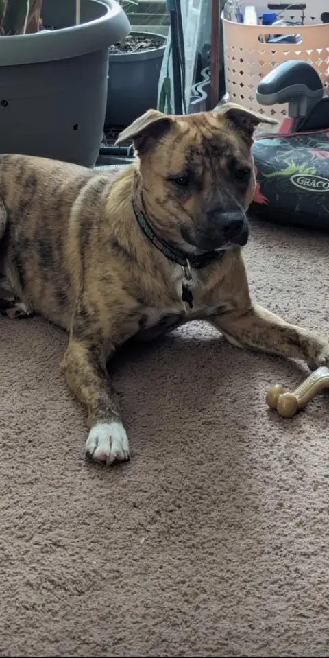 Oakley photo 2