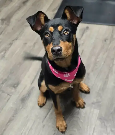 Baby Girl photo 3