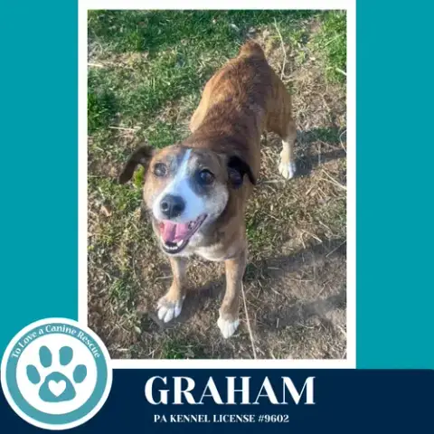 Graham 031426 photo 2