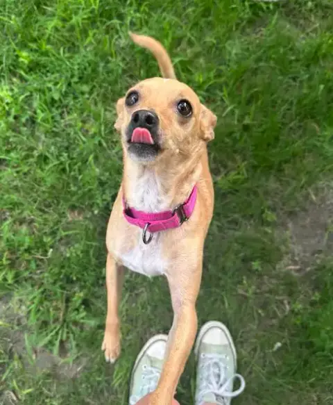Maggie photo 5