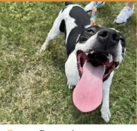 Coco