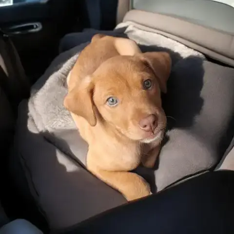 Baby photo 3