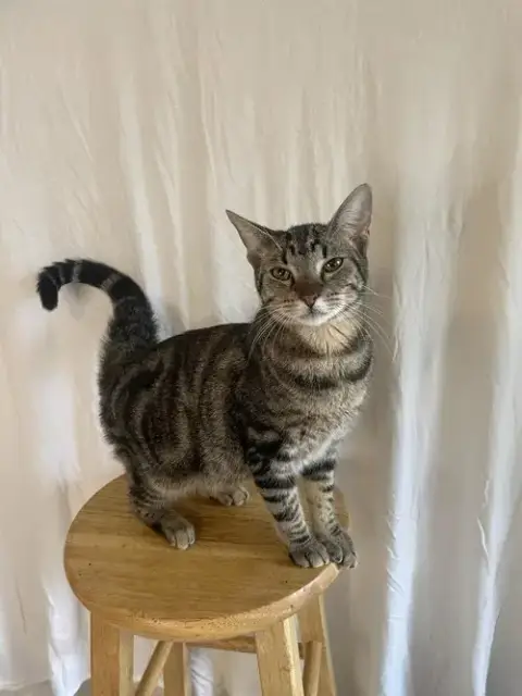 Kit