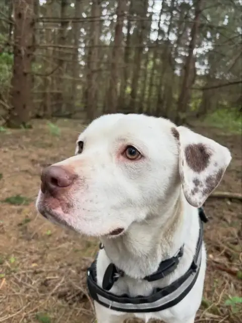 Dottie photo 4