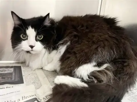 Tom