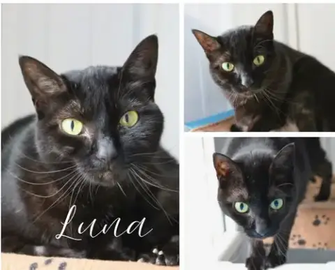 Luna