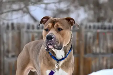 Zeus