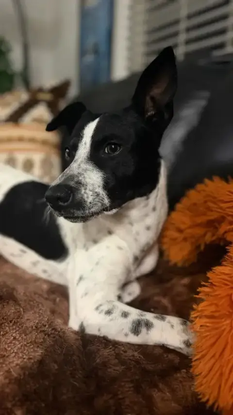 Marley