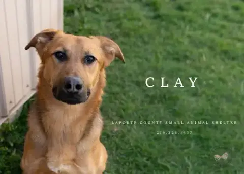 Clay