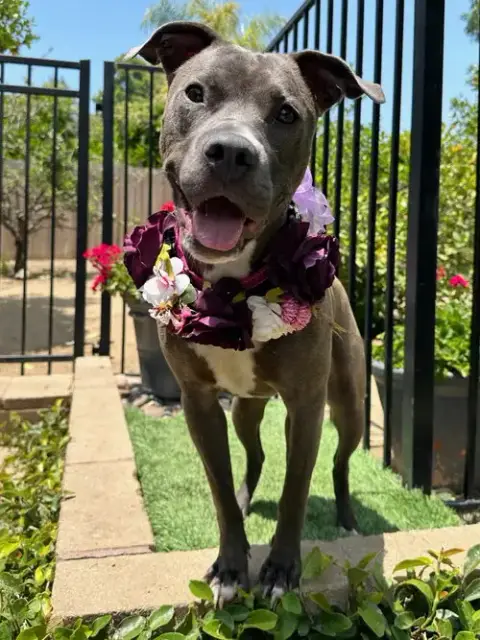 Jada photo 2
